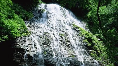 电子环保高标准